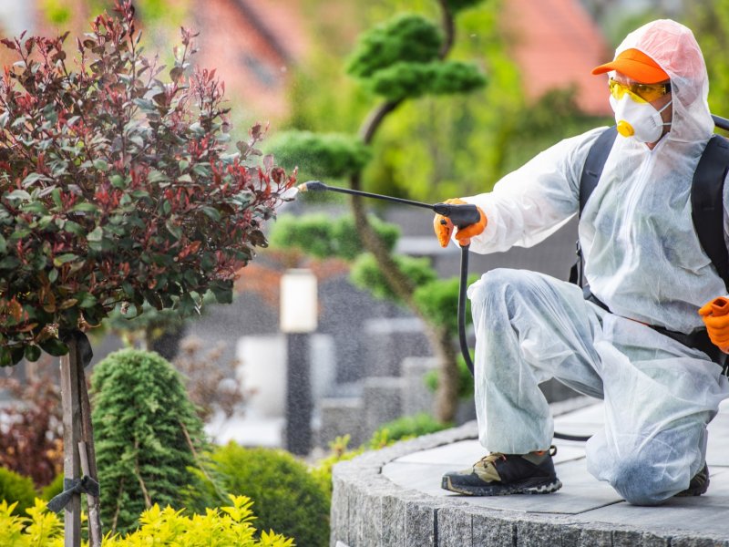 Çukurova Haşere İlaçlama